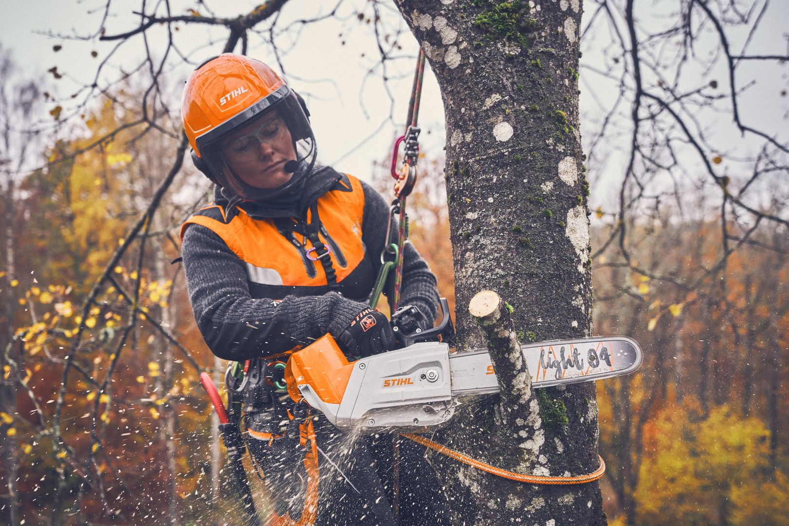 Kácení stromu akumulátorovou pilou STIHL MSA 220 T